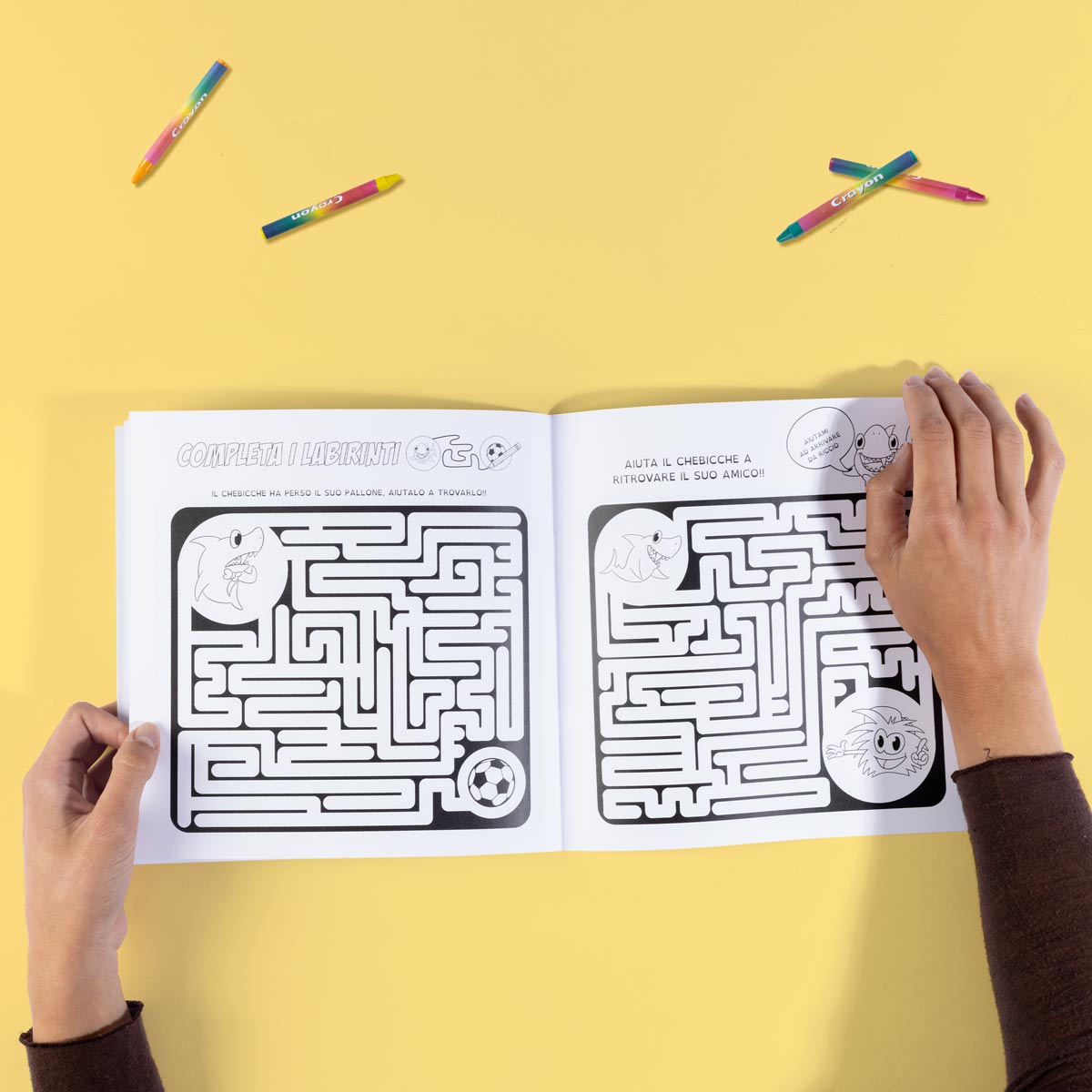 Il Chebicché LAB - gioca, colora, divertiti (20 pagine)